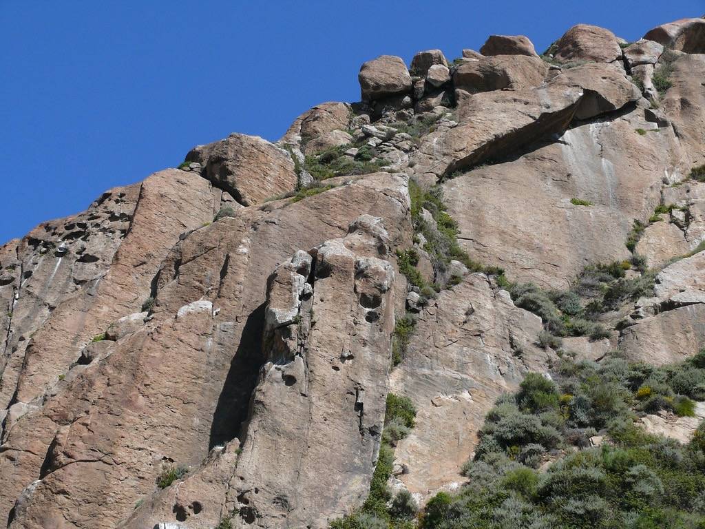 Peregrine Falcon Perches - 'Cimney' 'Throne' 'Carrot' Center by docentjoyce is licensed under CC BY 2.0.
